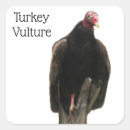 Recherche de vautour autocollants Oiseau