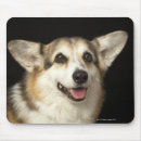 Recherche de blanc brun tapis souris Chiens