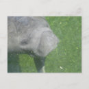 Recherche de souriant cartes postales Nature