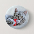 Recherche de chat gris badges Animal