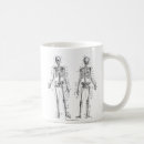 Recherche de illustration médicale tasses Squelette