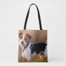 Recherche de de terrier photographie Chiot