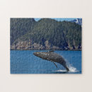 Recherche de baleine de bosse puzzles Faune