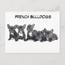 Recherche de éleveur cartes postales Animal