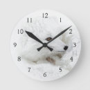 Recherche de renard arctique horloges Alopex lagopus