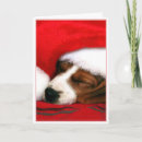Recherche de hound christmas vœux cartes Beagle