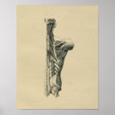 Recherche de cou humain posters Anatomie