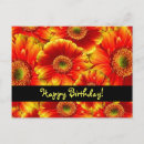 Recherche de gerbera vœux cartes Marguerite