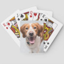 Recherche de grand chien jeux de cartes Chiens