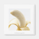 Zoek naar de banaan magneten Voedsel