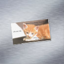 Recherche de kitten magnete Pour tous