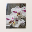 Recherche de orchid puzzles Orchidée blanche