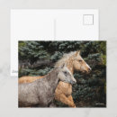 Recherche de tête de cheval cartes postales Exécution