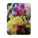 Recherche de orchidée magnets Tropical
