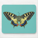 Recherche de papillon jaune et noir tapis souris Nature
