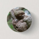 Recherche de paresseux badges Arbre