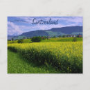Recherche de arbre jaune cartes postales Printemps