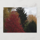 Recherche de arbres cartes postales Coloré