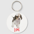 Recherche de beagle bébé accessoires Chiot