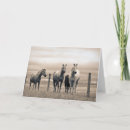 Recherche de quart vœux cartes Ranch
