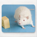 Recherche de rat blanc tapis souris Mignon
