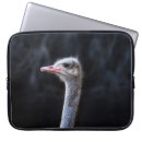 Recherche de zoo ordinateurs portables protections Amusant