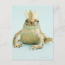 Recherche de portant cartes postales Faune