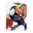 Recherche de oiseau exotique magnets Tropical