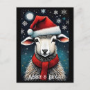 Recherche de brebis cartes postales Laine