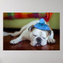Recherche de caresse posters Chiot