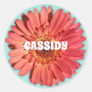 Recherche de gerberas autocollants Gerbera daisy