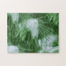 Recherche de hiver puzzles Photographie