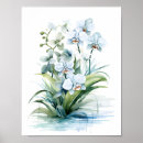 Recherche de orchidée bleue posters Floral