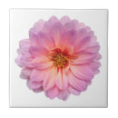 Recherche de fleur violette carreaux Fleurs du jardin