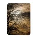Recherche de scène magnets Noir
