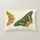 Recherche de peinture papillon coussins Nature