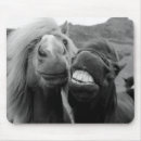 Recherche de image cheval tapis souris Nature