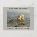 Recherche de chien de laboratoire cartes postales Extracteur
