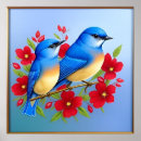 Zoek naar ijsvogels posters Kleurrijk