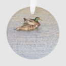 Recherche de ducks ornements Oiseaux