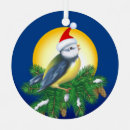 Zoek naar vogels ornamenten Sneeuw