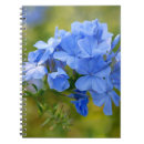 Recherche de fleurit des images Fleurs