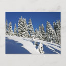 Recherche de alpin cartes postales Neige