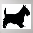 Zoek naar schotse terrier posters Honden