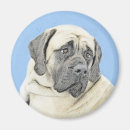 Recherche de abricots magnets Pour tous