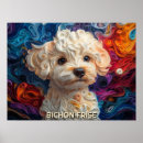 Recherche de bichon frisé Portrait