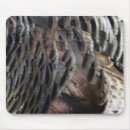 Recherche de dindes tapis souris Turquie