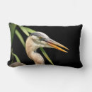 Recherche de héron bleu coussins Animal