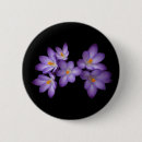 Recherche de crocus badges Floral