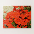 Zoek naar geraniums puzzels Tuin